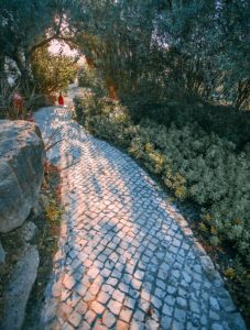 A mosaic stone pathway through a garden