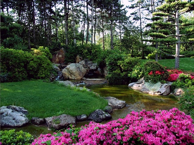 Japanese landscape with bright flowers along a stream