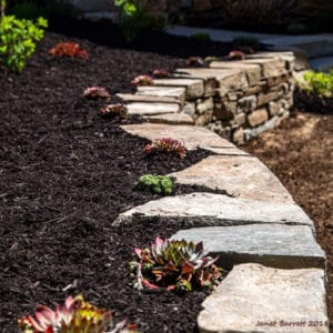 A well-landscaped yard with perennial flowers.