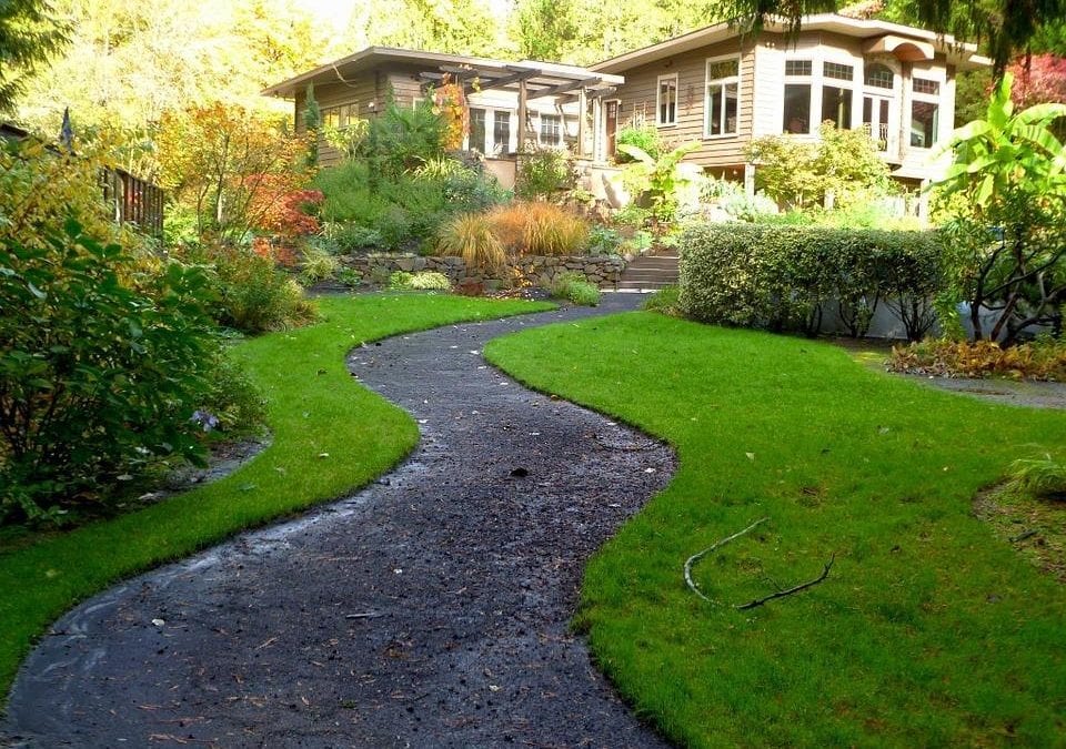 A lush, green garden with a clear pathway.