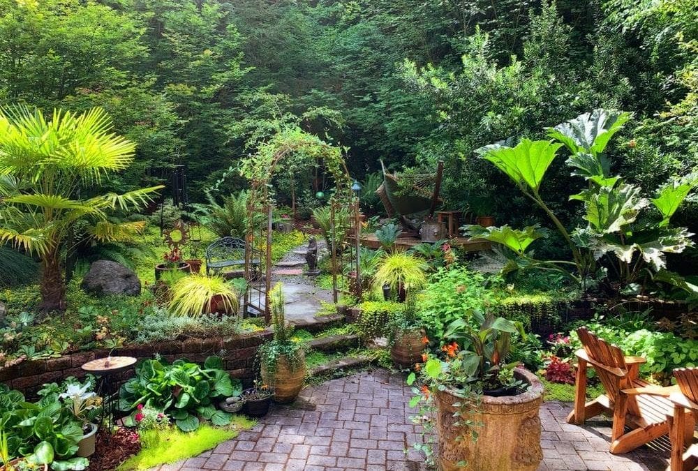 6 Landscaping Mistakes You Need To Avoid