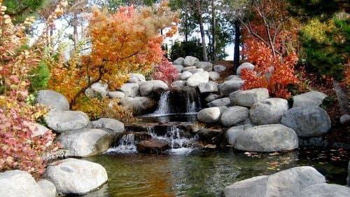 Garden with rock fountain