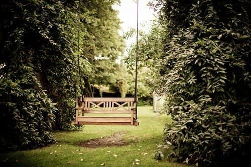 Lavish garden with swing