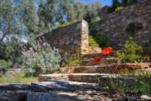 rock wall in backyard garden