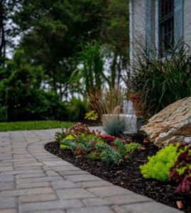 A patio with a variety of plants