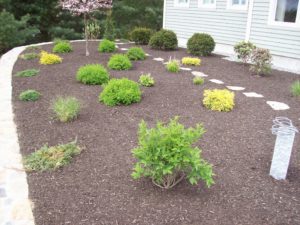 landscaped yard with shrubs and mulch