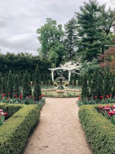 a beautiful outdoor garden