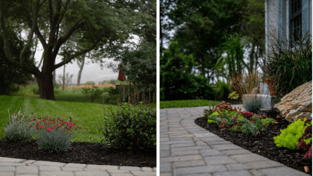 photo of plants with walkways