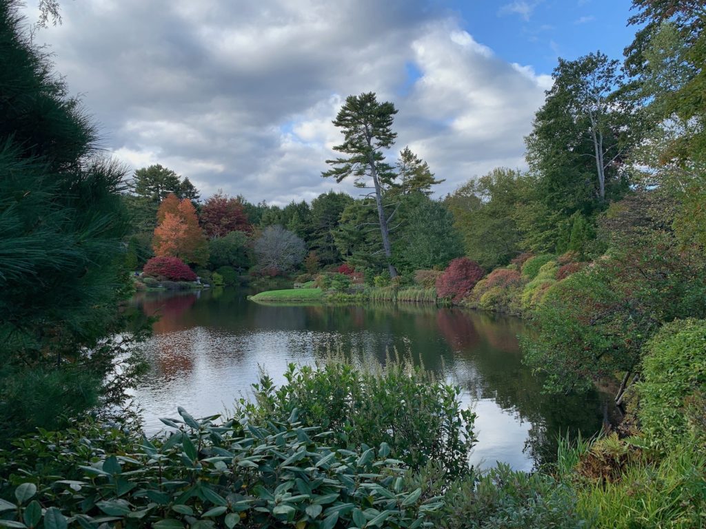 The Asticou Azalea Garden