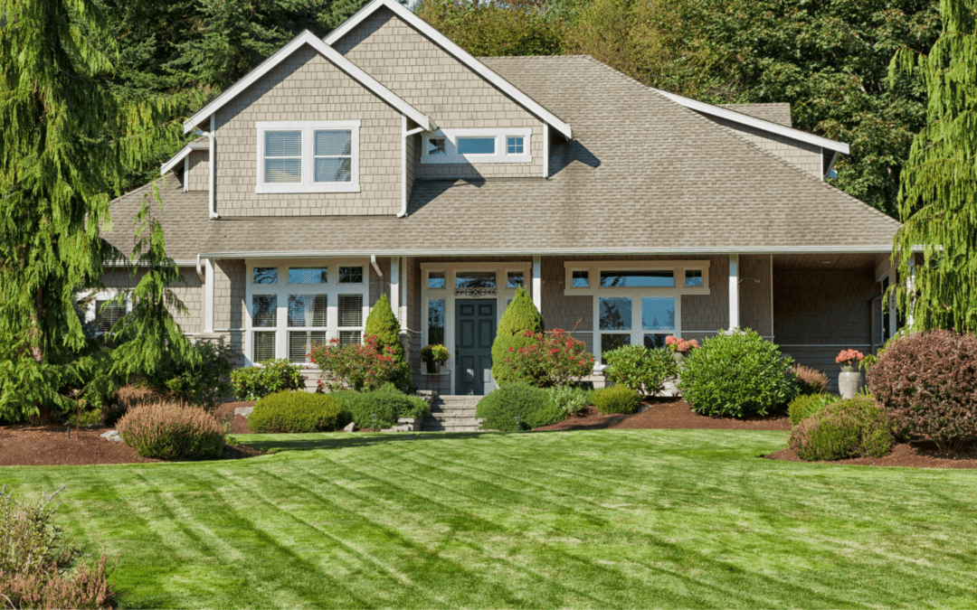 Safeguard Your Yard: The Essential Guide to Proper Drainage and Grading