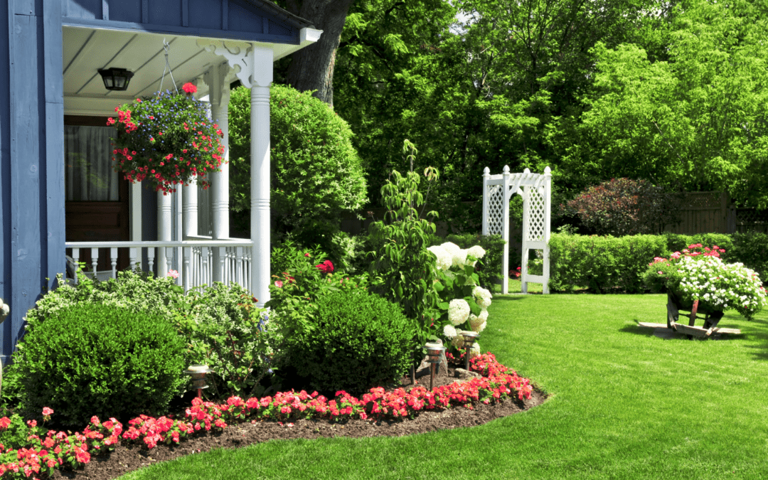 Enhancing Privacy in Your Maine Yard: The Best Plants and Shrubs for Natural Screening