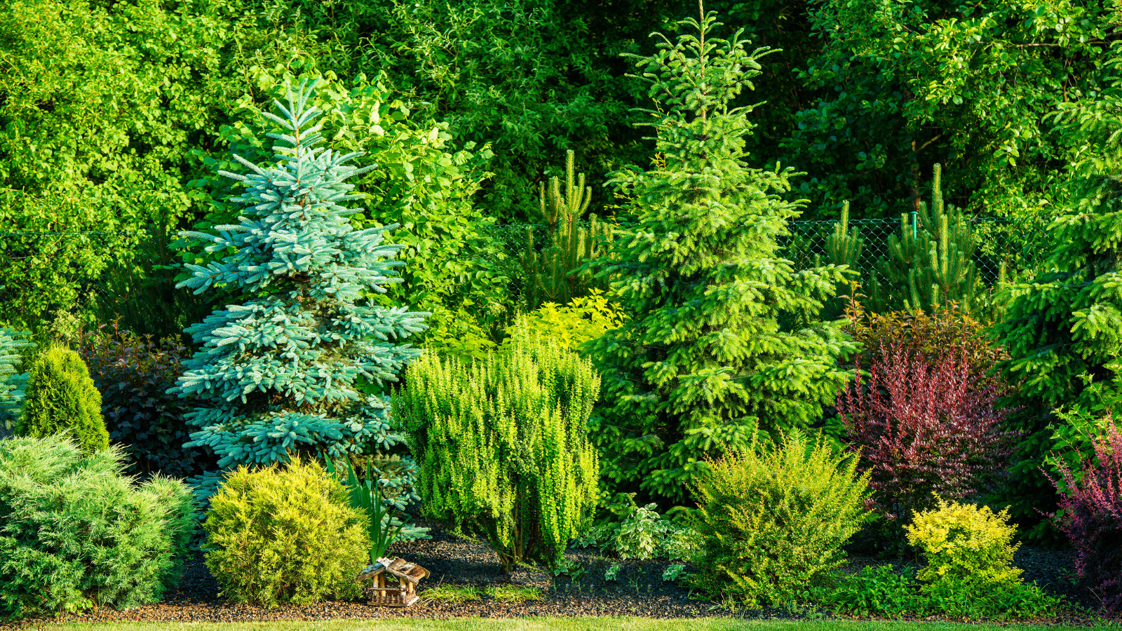 Layered Planting