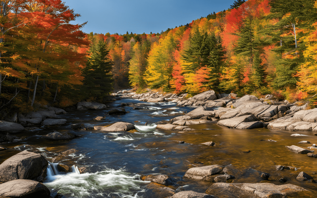 Southern Maine's Fall Foliage