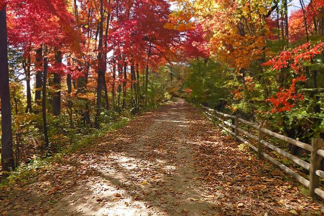 Eastern Trail, Southern Maine 