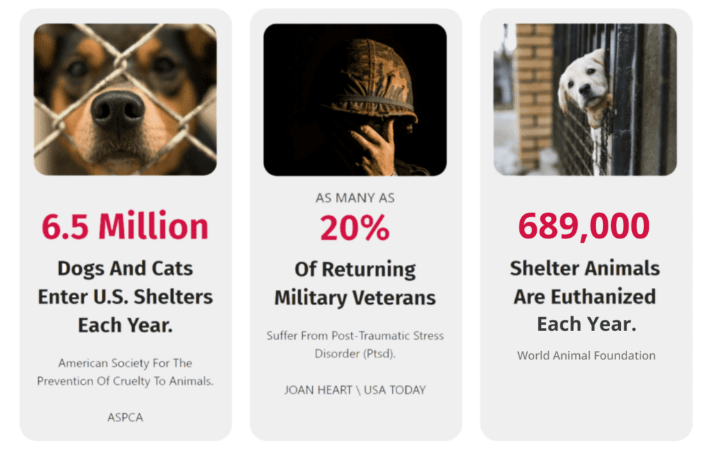 Pets for Vets shelter animals statistics