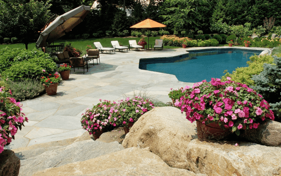Best Plants to Border a Stone Patio for Color and Texture