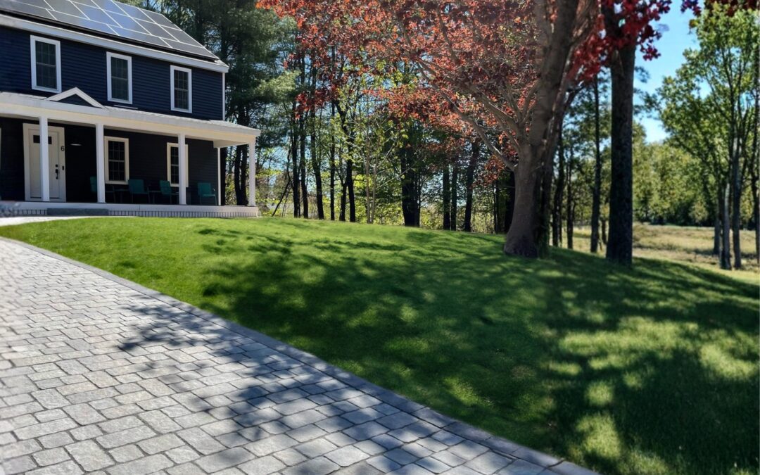 The Maine Squeeze: Why Your Driveway is Cracking (and How to Fix It)