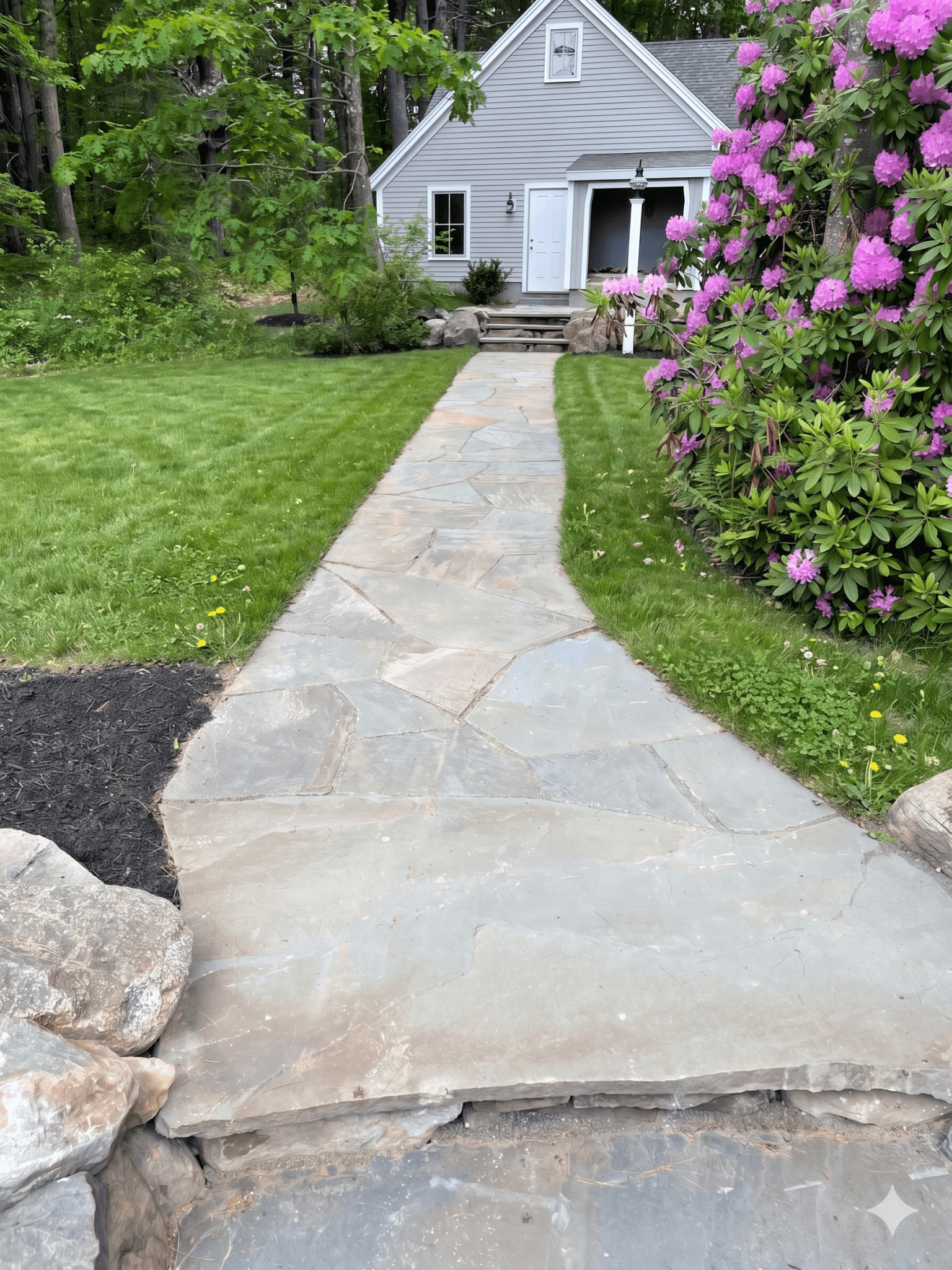 bluestone-flagstone-walkway-rhododendron-new-england-landscape